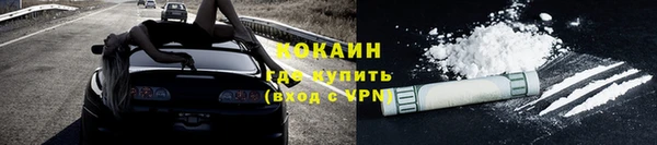 apvp Пионерский