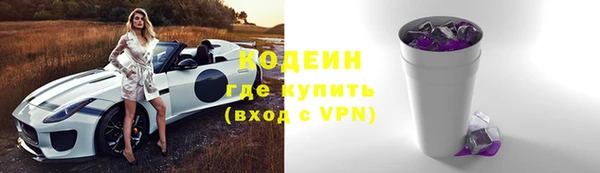 индика Печоры