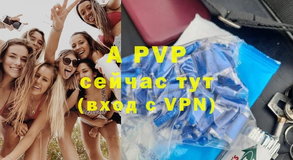 индика Печоры