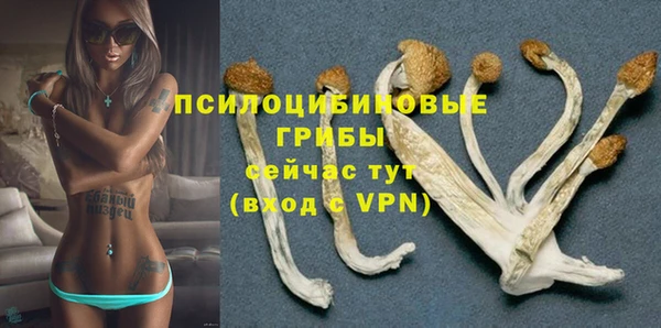 ГАЛЛЮЦИНОГЕННЫЕ ГРИБЫ Ладушкин