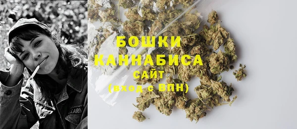 индика Печоры