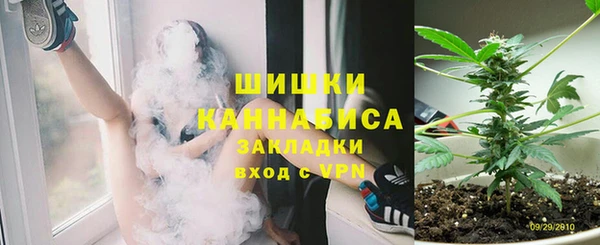 ГАЛЛЮЦИНОГЕННЫЕ ГРИБЫ Кукмор