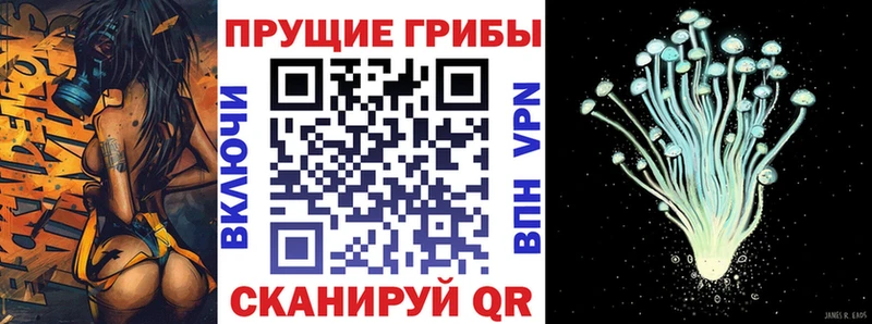 Псилоцибиновые грибы Cubensis  Старый Крым 